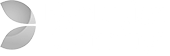 Game evolusi